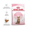 Royal Canin Mini Starter Mother and Babydog 1kg, 4Kg